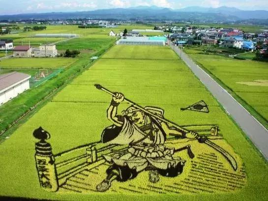 日本高科技农业有哪些,日本农业值得研究的点