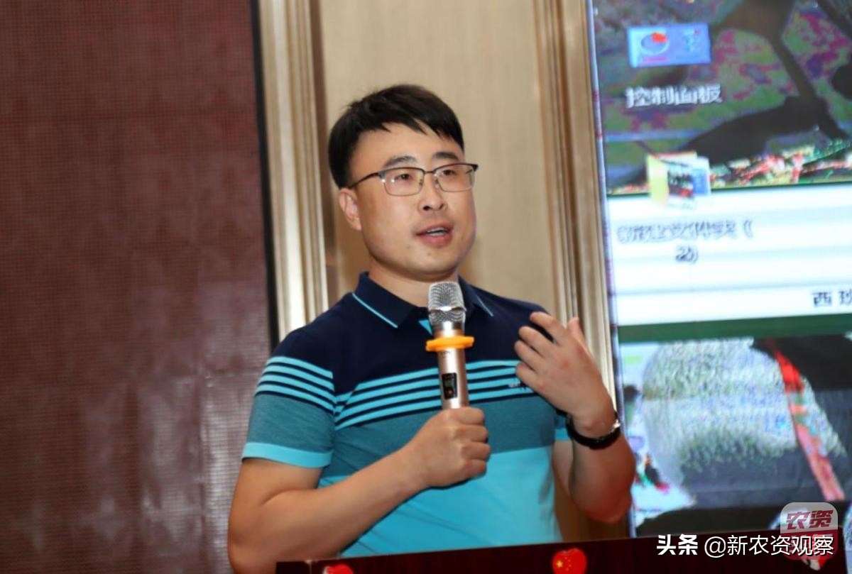 海南反季节芒果催花为何会催出芽,芒果催花后冒浆是花还是芽