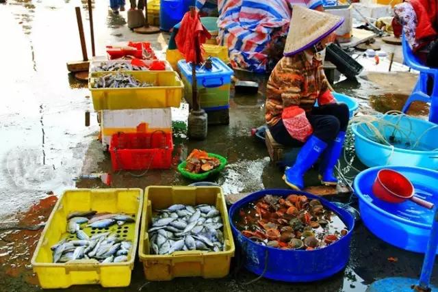 哪里的海岛比鼓浪屿好玩,跟鼓浪屿一样的小岛