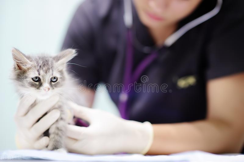 就业最难的四大专业,难学的三大专业