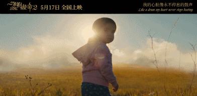 一条狗的使命2集锦,一条狗的使命2催泪片段