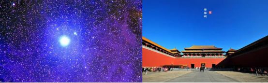 绉戞妧鍏徃logo,鐢熺墿绉戞妧鍏徃logo