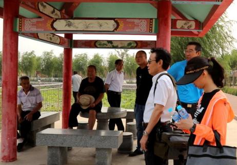 大树底下长草,大树下面长草吗