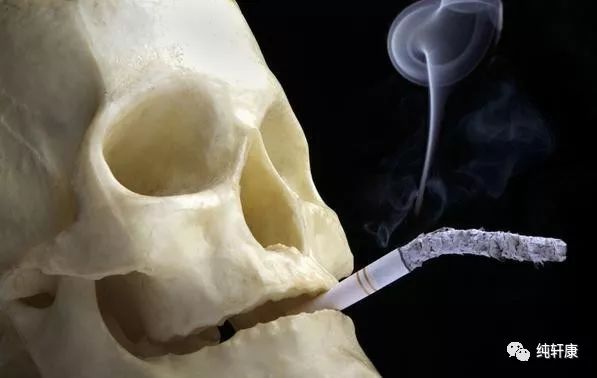 看完这篇文章，你就不嫌海参贵了！