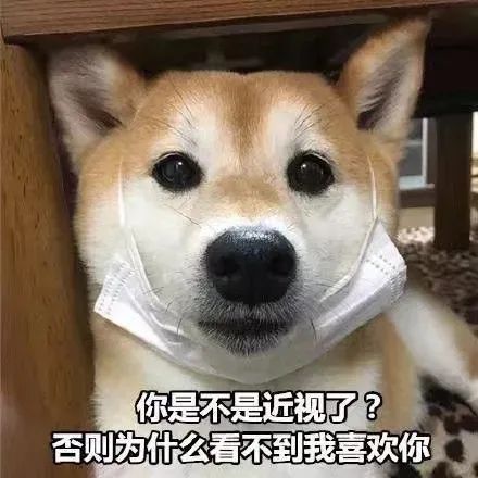 犬瘟狗口吐白沫,狗狗犬瘟初期抽搐视频