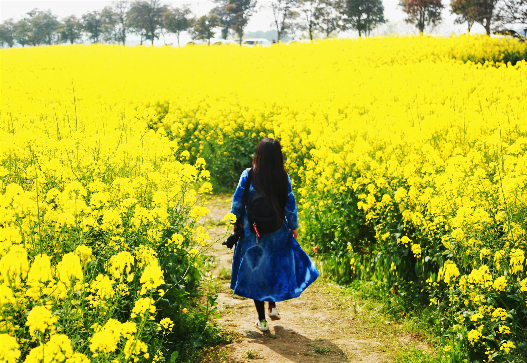 中国第一慢城高淳桠溪,南京高淳桠溪慢城