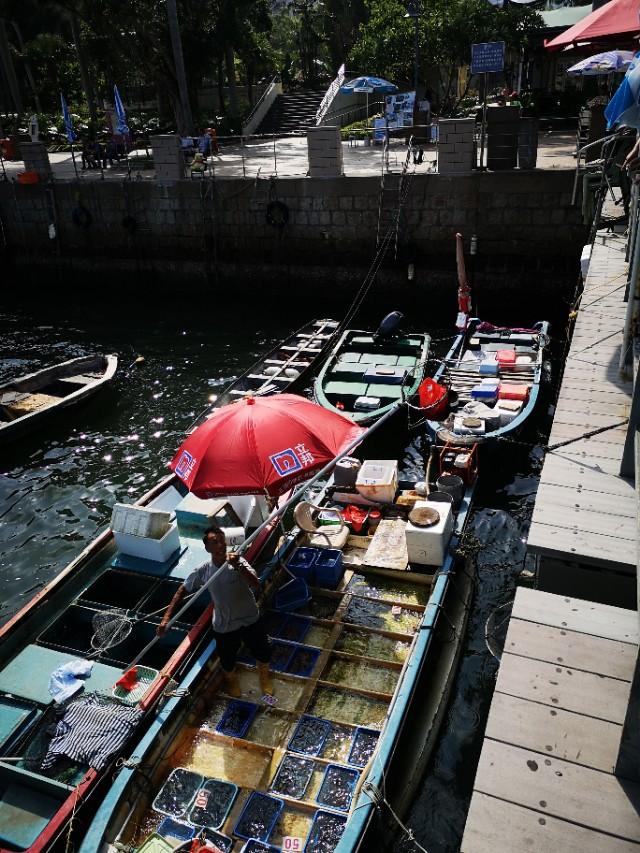 香港西贡游记下,香港最后一天去哪玩好