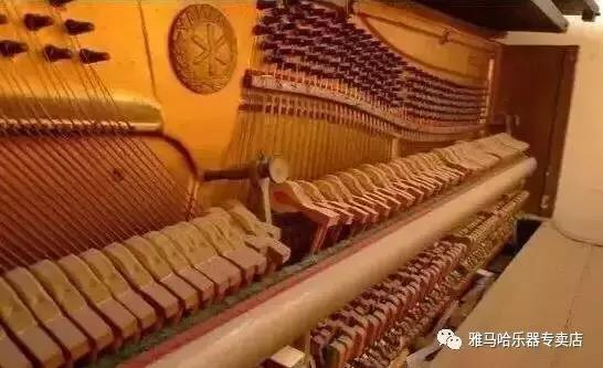 天音乐器靠谱吗,天音二手乐器河东区