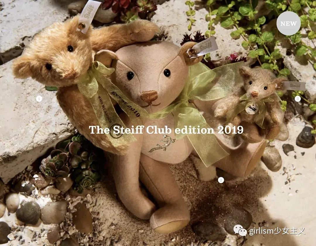 世界上最美丽的泰迪熊,最可爱的泰迪熊