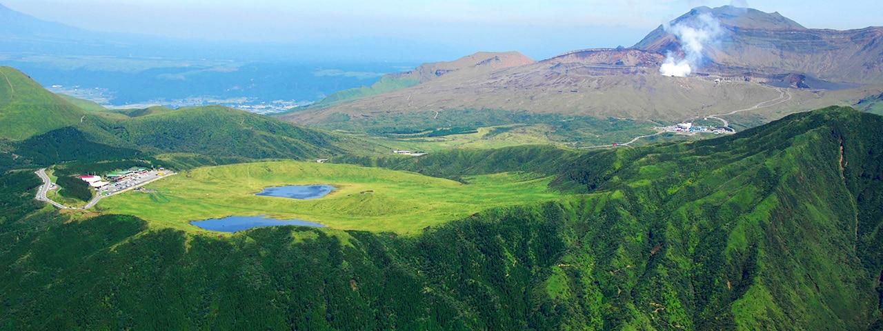 比大熊猫还濒危的小熊猫,比熊猫更稀有的小熊