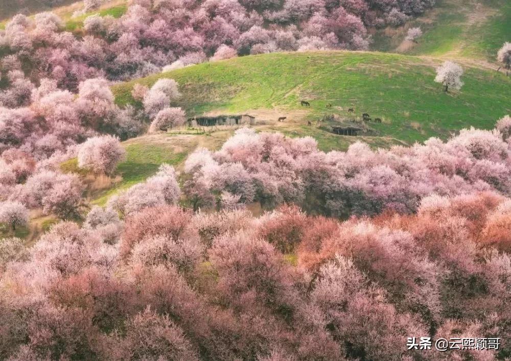 60岁前要去的100个地方,60岁以前必去的100个地方