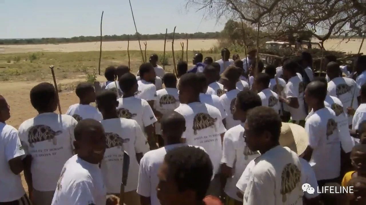 龟中“考拉”，请别让我们的孩子在博物馆见到它们...