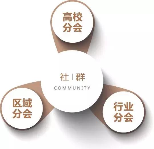 董事会秘书工作流程,董事会秘书与下属企业沟通