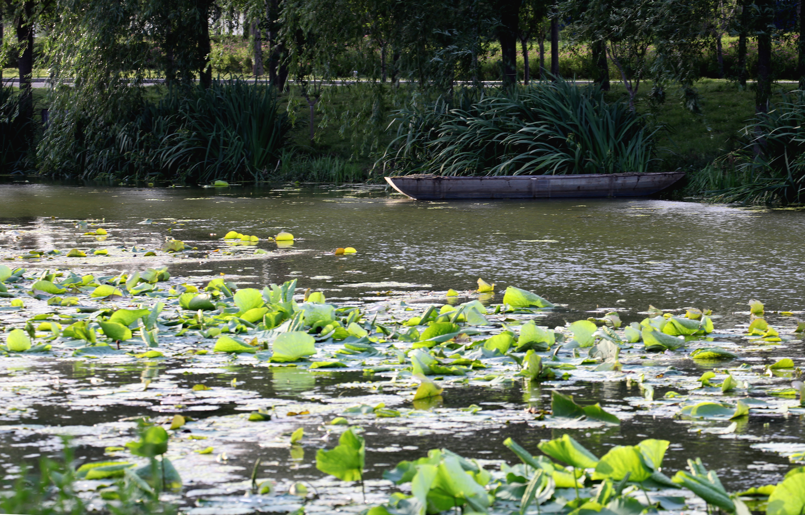 瀛熷鍗虫櫙,瀛熷鍗虫櫙鍙よ瘲涓冨緥