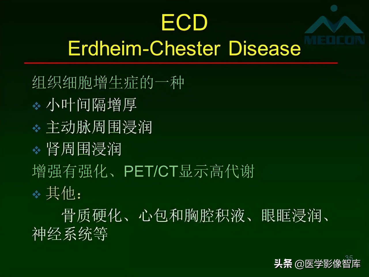肺弥漫性网状影,两肺小叶间隔增厚可见网状模糊影