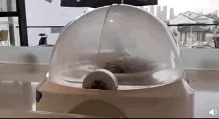 为什么江苏人爱去高速服务区旅游