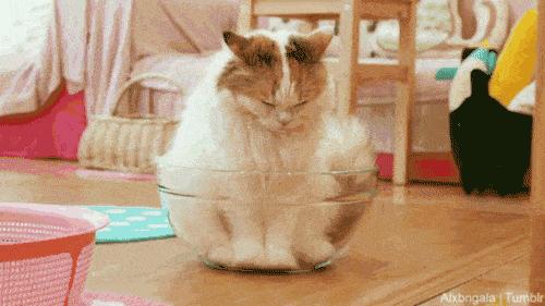 迪士尼面试问题,面试官问为什么想去迪士尼