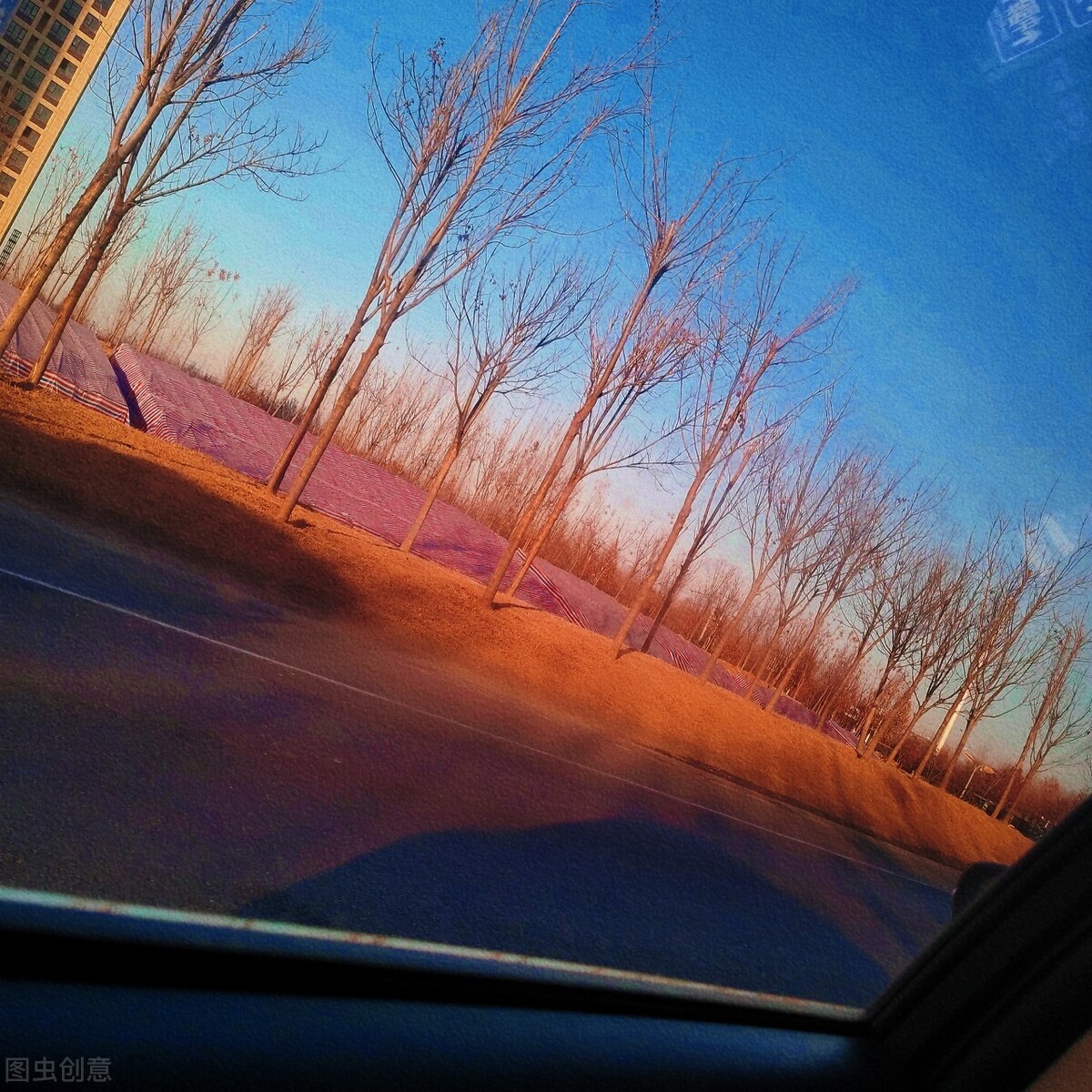 敌对20年后，她发现母亲只是个可怜人：被父母伤害不原谅也是和解