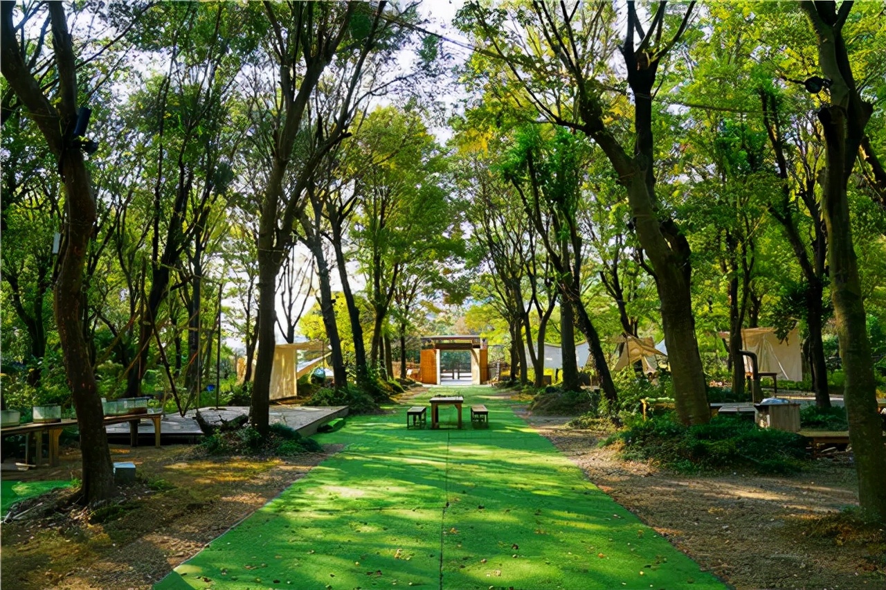 鑾共灞辨繁绉嬫父,娣辩涓庤帿骞插北鏃呮父