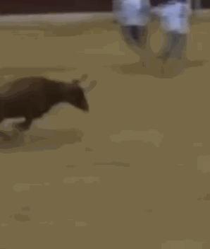 被牛角顶了是什么感觉,被牛角顶了是什么样