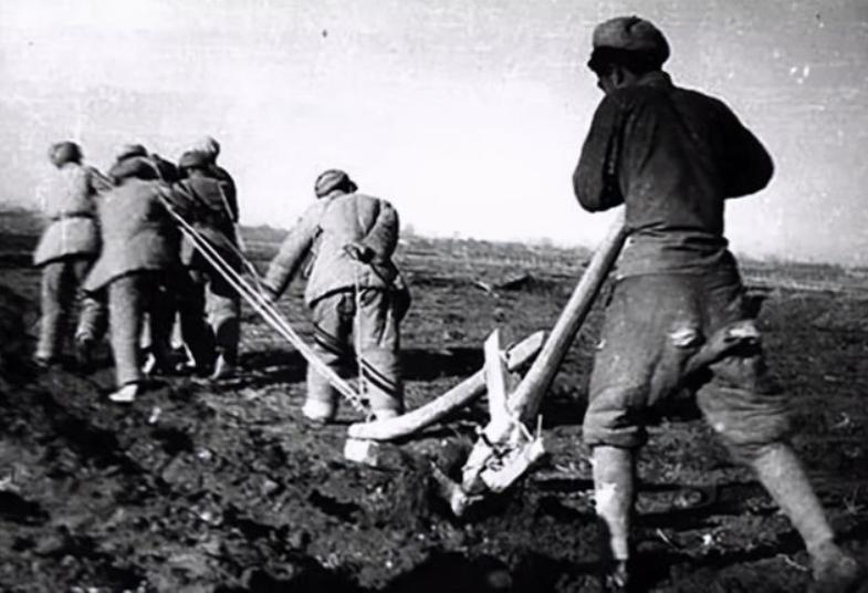 骑毛驴去看毛主席的库尔班,临终:后代参军报国,重孙女完成遗愿