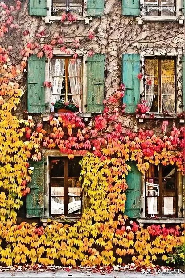 惊艳,百年罕见的绝世美照