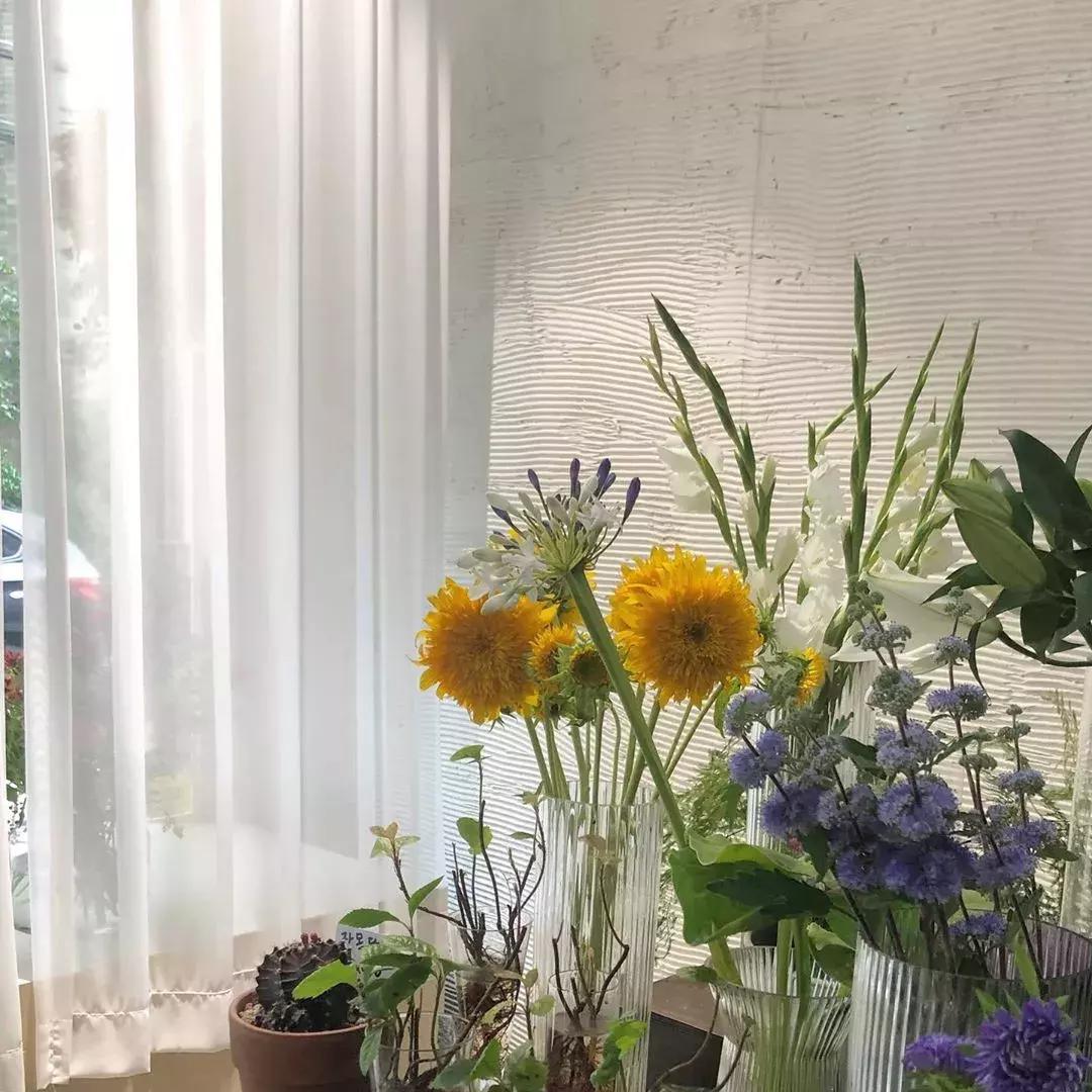 29岁女孩独居图片,29岁独居女孩的视频