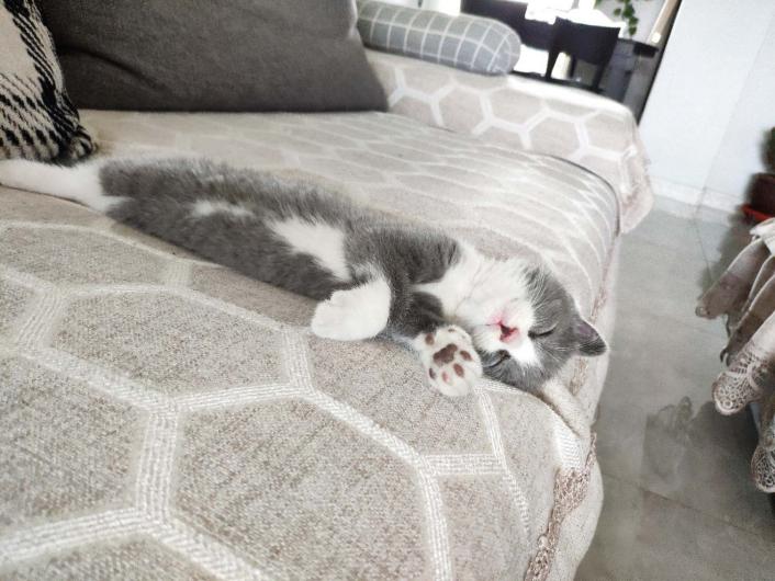 京东618购物排行榜,苹果12京东618