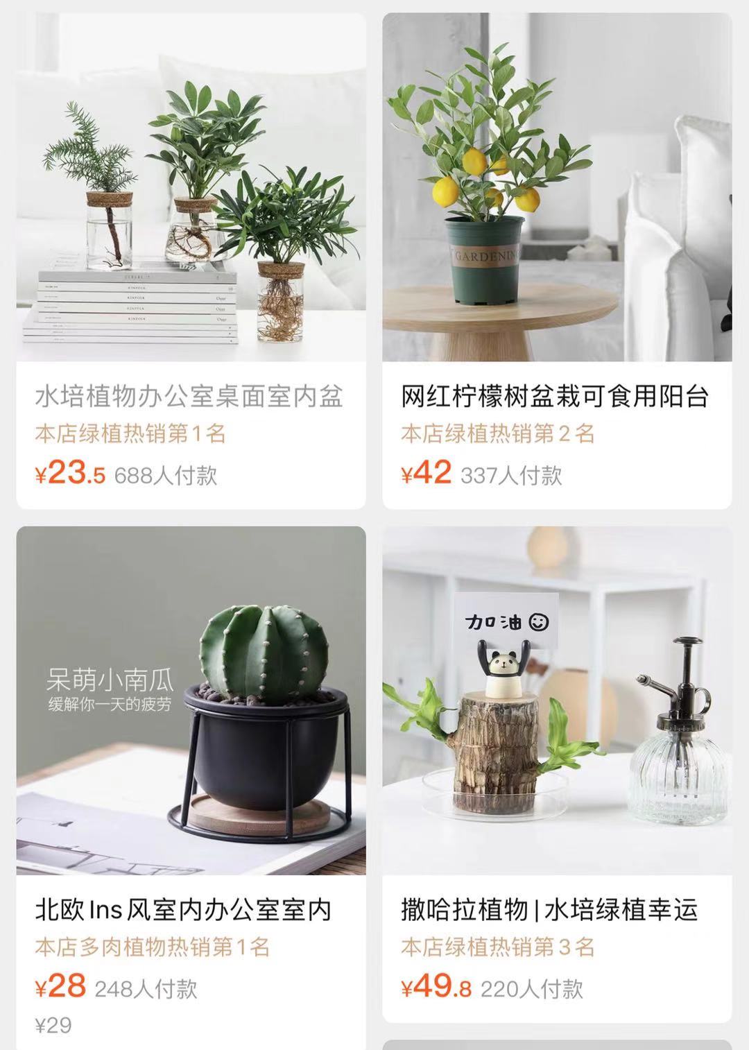 极简风格绿植店铺推荐 (室内店铺适合养的植物有香味)