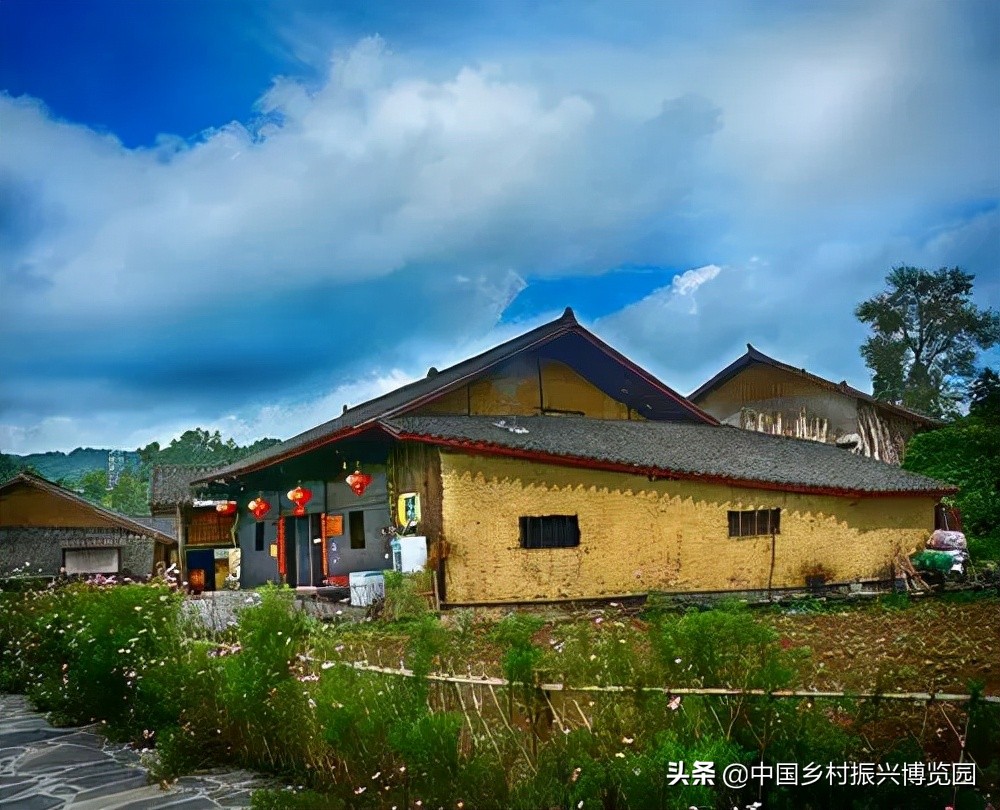 乡村振兴领域涉及哪些部门,乡村振兴最全解读