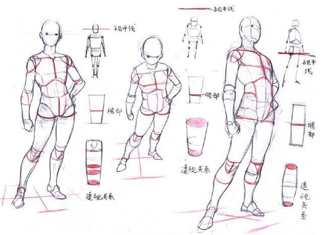初学者如何画漫画人体结构,超简单人体结构画法教程