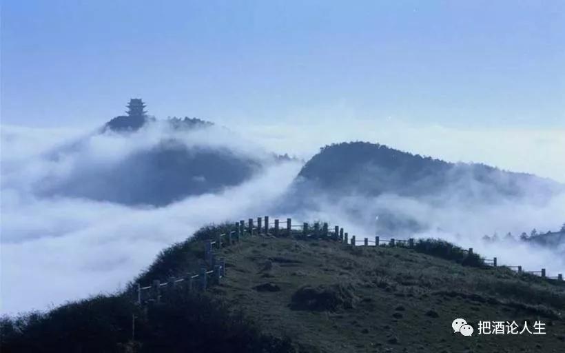 无所不欲勿施于人是对的吗,己所不欲勿施于人强调了什么