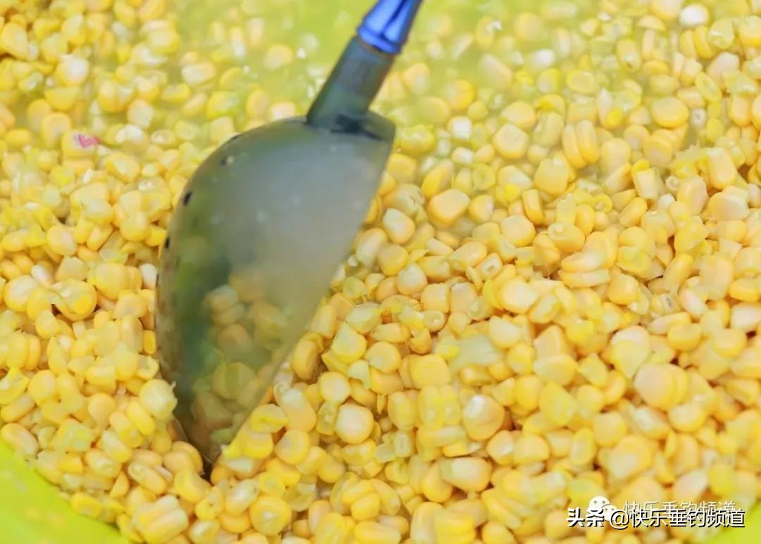 浮钓鲢鳙挂饵怎么调漂,野钓带饵调漂实用最佳方法