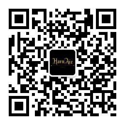 esp电吉他介绍,espmh230电吉他测评