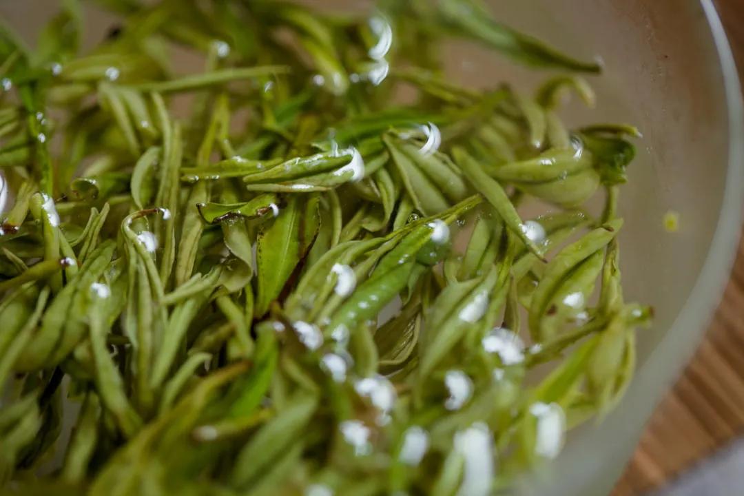 安吉白茶2024新茶高山白茶,2018年安吉明前白茶