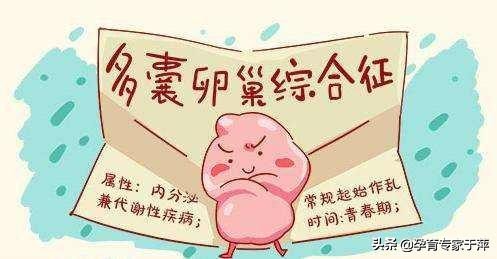 胖多囊和瘦多囊哪个更容易调理,胖多囊怎么减肥吃什么药