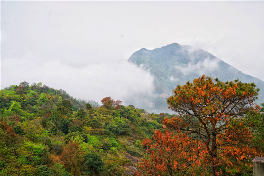 江南水乡旅游攻略四天三晚,温州旅行攻略四天三夜