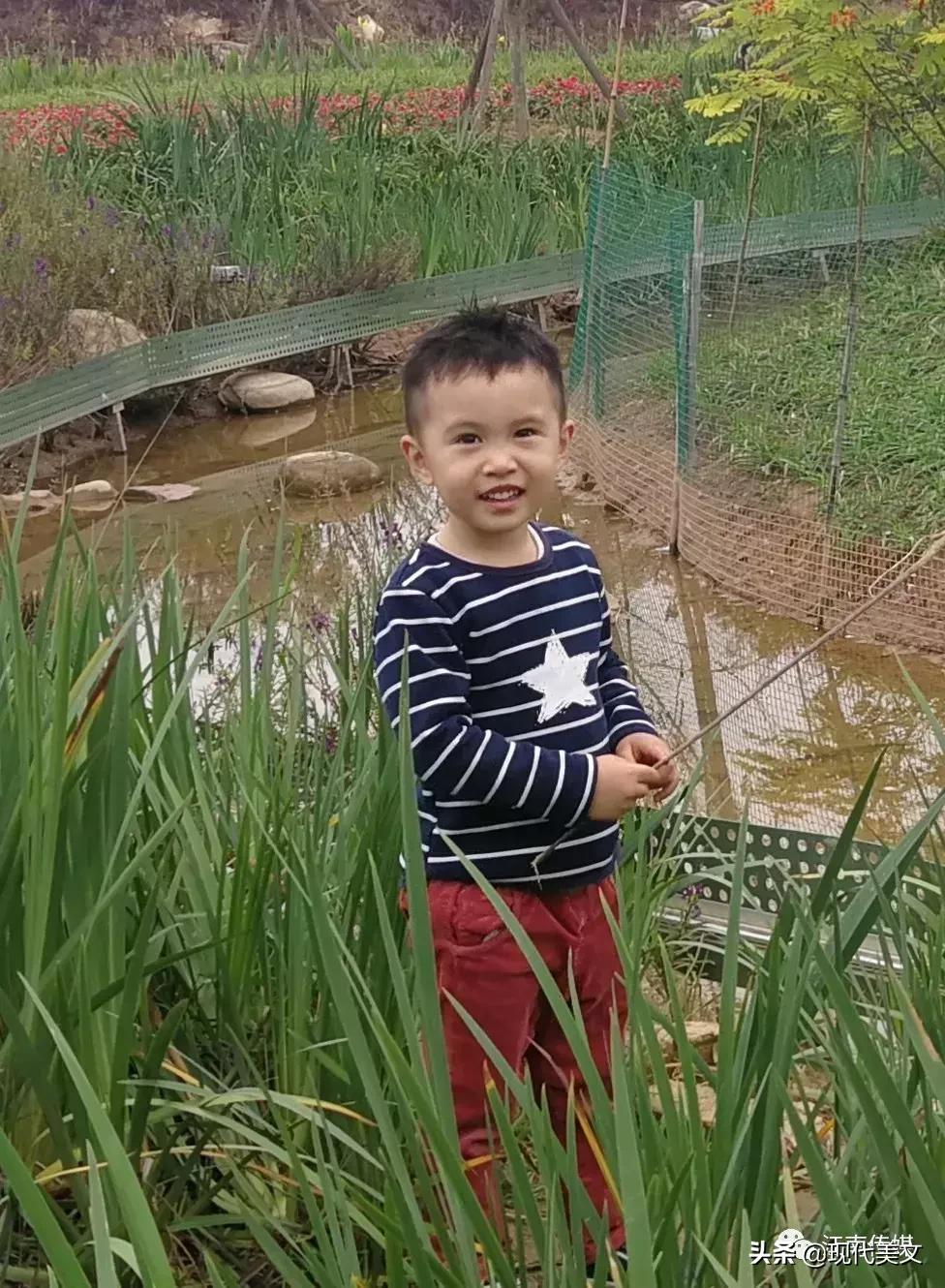 中国十大儿童诗作家,中国优秀的诗人100名