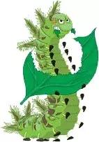 自贡最稀有动物,自贡有哪些小动物