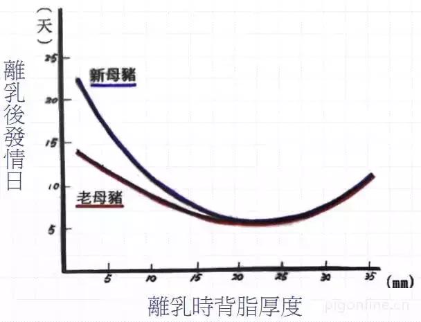 母猪为什么不哺乳,母猪为什么不奶小猪