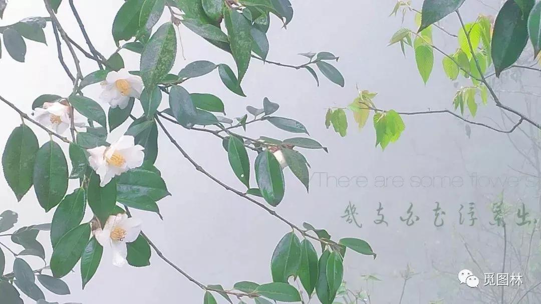 印刷行业新手入门教程,新手如何学习印刷