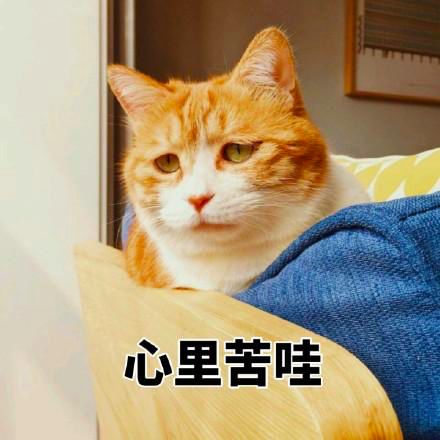 ysl小金条1966断货了吗,ysl小金条停产是真的消息吗