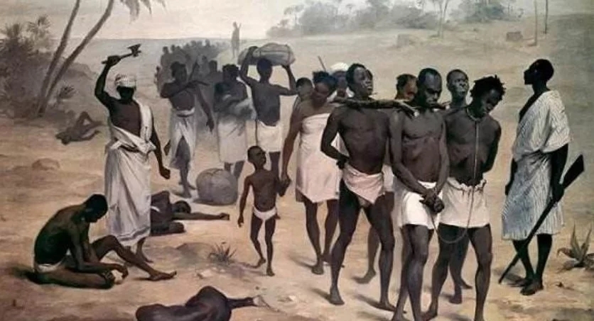 贩卖黑奴利润丰厚，但还想降低成本怎么办？奴隶贩子：把奴隶*光脱**