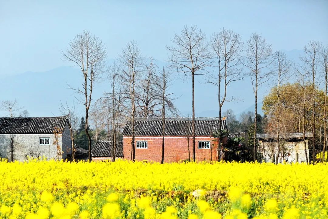 苏州女子6次腾冲旅行，总结了这些极美的小众景点，建议收藏