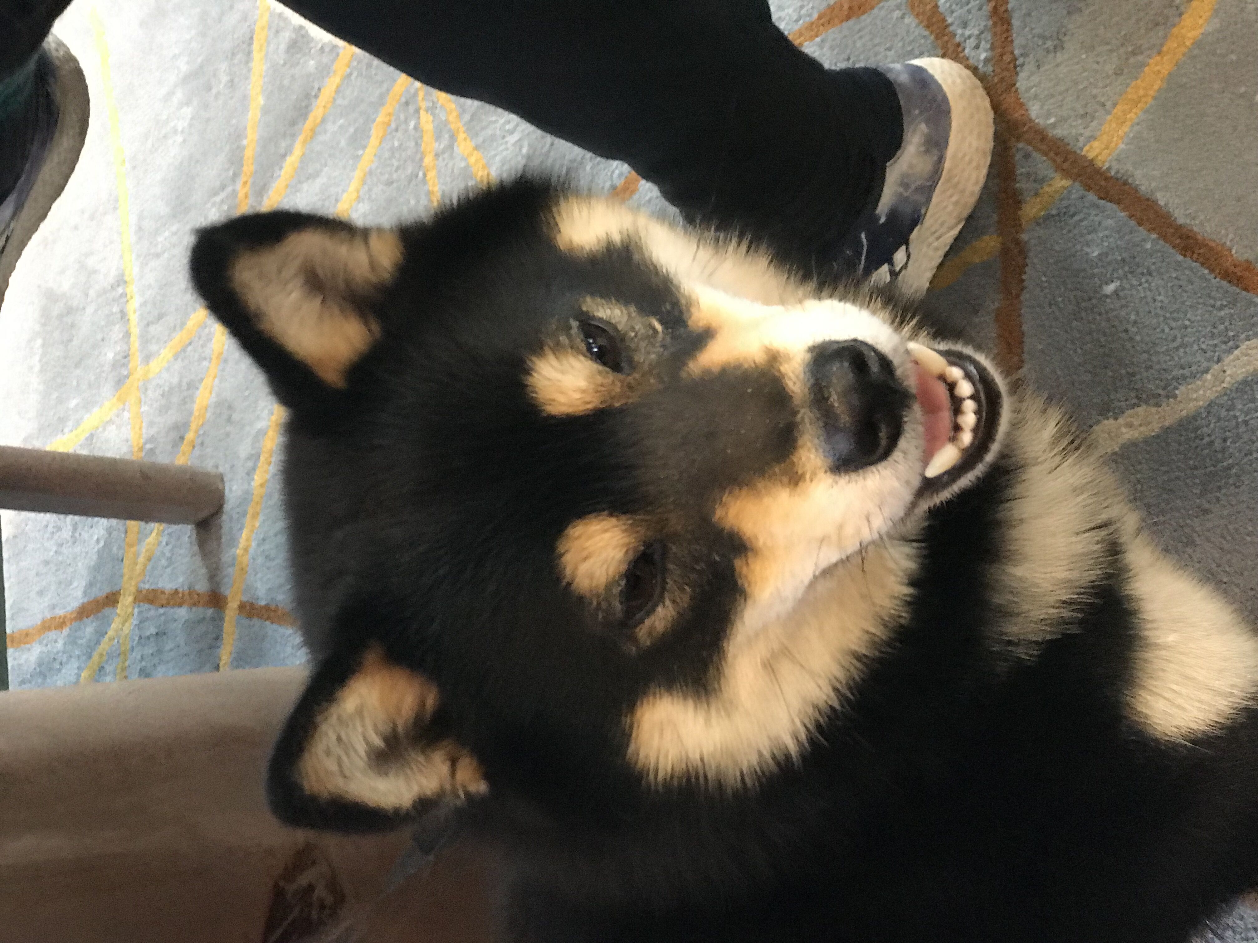 又见东兴,故地重游口岸都关闭了,不同时间不同伙伴不同心情