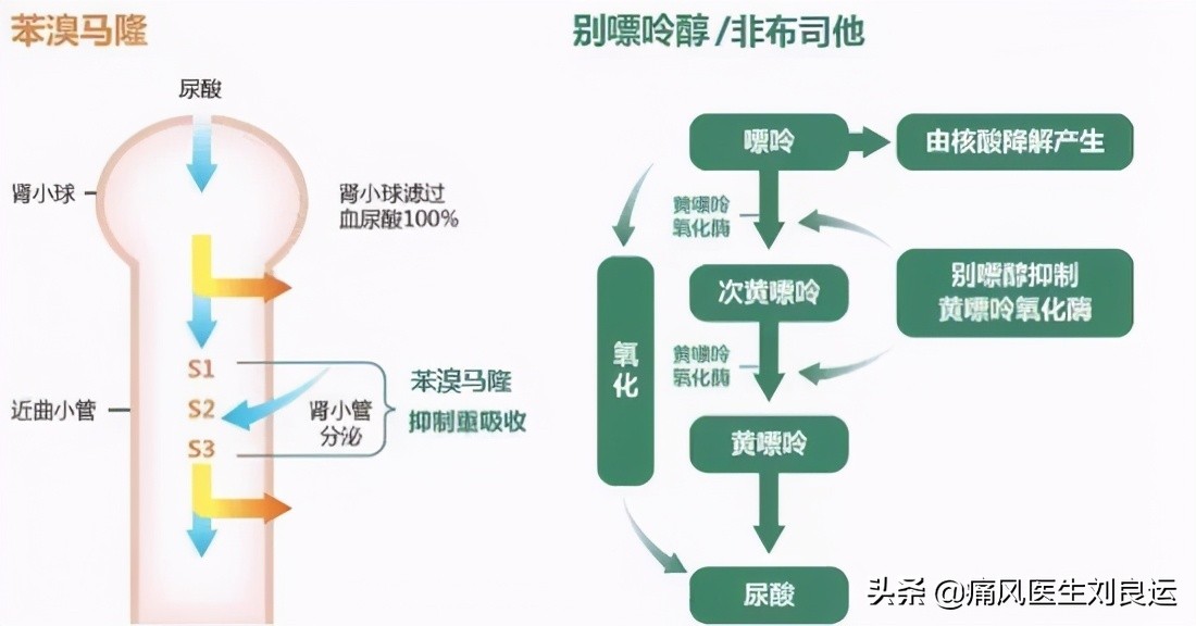 降尿酸可以使痛风结晶溶解吗,吃药降尿酸会损坏肾功能吗