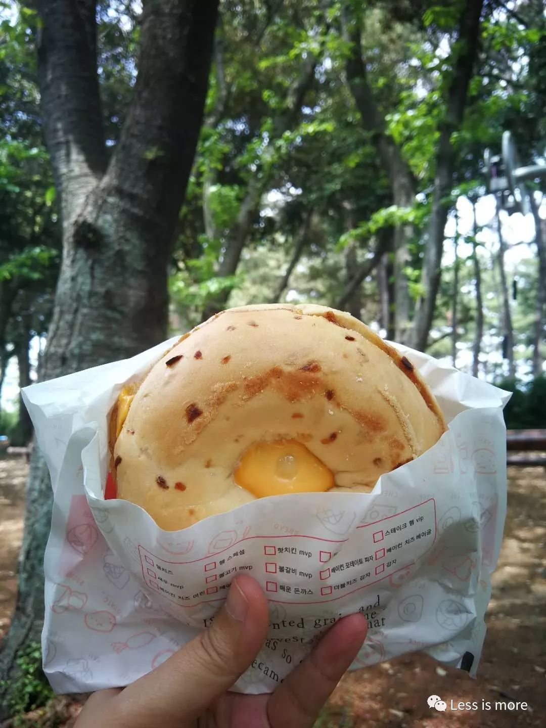 带你们看看济州岛的美景,济州岛路上的小风景