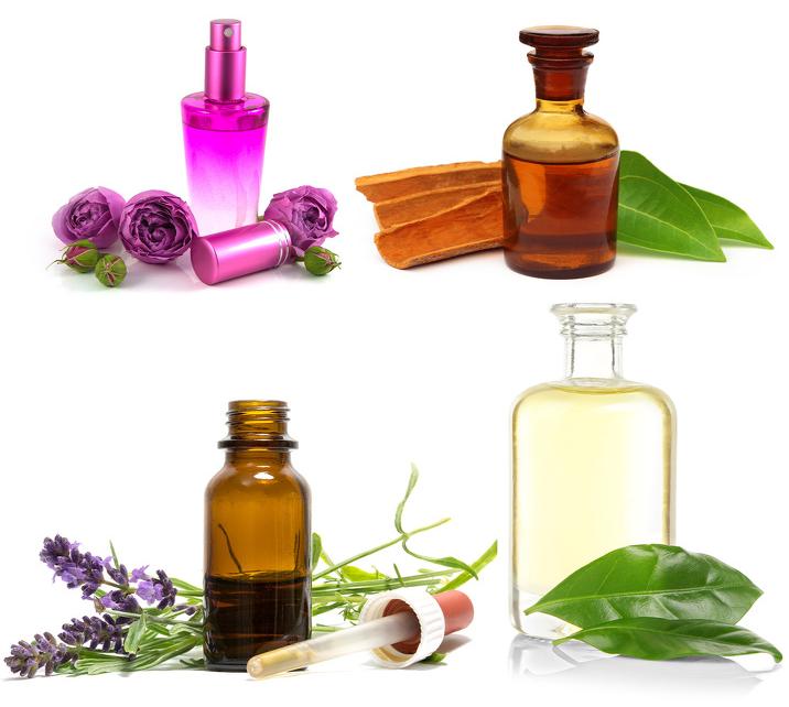 把蜘蛛赶走,把蜘蛛赶走的办法