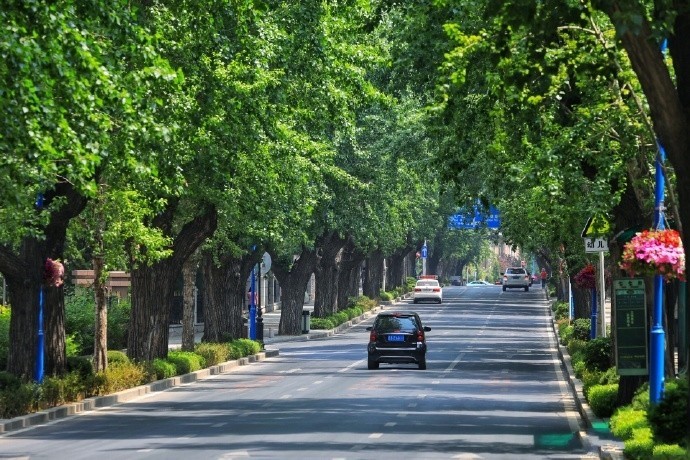 浪漫之都大连怎么样,浪漫之都大连