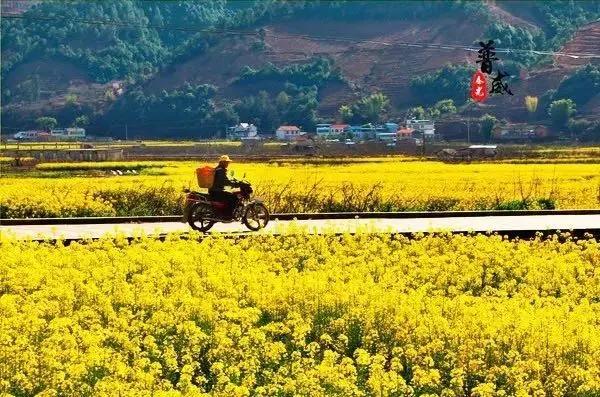 过年了爱车也要干干净净,过年了你的爱车洗干净了吗